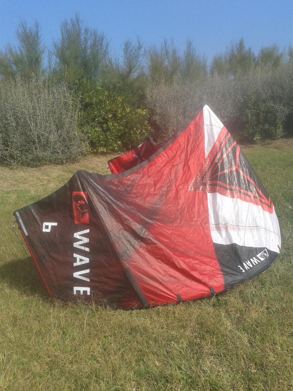 Photo2