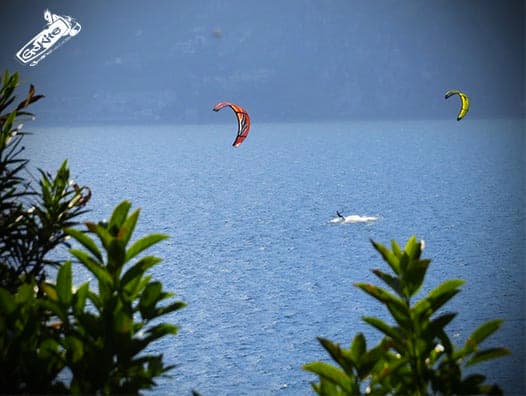 kite